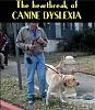 Click image for larger version. 

Name:	Silly-stuff-canine-dyslexia.jpg 
Views:	450 
Size:	61.1 KB 
ID:	90445