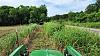 Click image for larger version. 

Name:	Mowing Ditch.jpg 
Views:	293 
Size:	242.6 KB 
ID:	90670