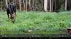 Click image for larger version. 

Name:	Bull-7-5-22.jpg 
Views:	267 
Size:	298.3 KB 
ID:	90879