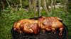 Click image for larger version. 

Name:	Smokin'-Chickens.jpg 
Views:	204 
Size:	229.4 KB 
ID:	91231