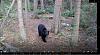 Click image for larger version. 

Name:	neighbor-passing-through-9-24-22.jpg 
Views:	168 
Size:	200.0 KB 
ID:	91331