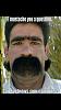 Click image for larger version. 

Name:	mustache - Copy.jpg 
Views:	617 
Size:	130.9 KB 
ID:	91532