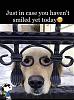 Click image for larger version. 

Name:	FB_IMG_1654104641607.jpg 
Views:	453 
Size:	68.7 KB 
ID:	93318