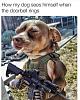 Click image for larger version. 

Name:	FB_IMG_1650615712723.jpg 
Views:	461 
Size:	139.7 KB 
ID:	93319