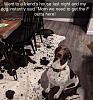 Click image for larger version. 

Name:	FB_IMG_1679786760795.jpg 
Views:	340 
Size:	79.2 KB 
ID:	93374