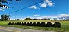 Click image for larger version. 

Name:	Round-Bales-10-27-22.jpg 
Views:	163 
Size:	122.8 KB 
ID:	93422