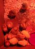 Click image for larger version. 

Name:	Chickens.jpg 
Views:	139 
Size:	117.8 KB 
ID:	93547