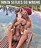 Click image for larger version. 

Name:	pooch.jpg 
Views:	282 
Size:	93.3 KB 
ID:	93613
