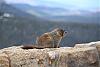 Click image for larger version. 

Name:	DSC_5960_1.jpg 
Views:	245 
Size:	200.8 KB 
ID:	94044