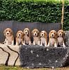 Click image for larger version. 

Name:	FB_IMG_1679859943079.jpg 
Views:	141 
Size:	152.1 KB 
ID:	94091