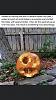 Click image for larger version. 

Name:	pumpkin.jpg 
Views:	509 
Size:	54.4 KB 
ID:	94859