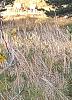 Click image for larger version. 

Name:	VID_20230921_071639955_exported_0~3.jpg 
Views:	136 
Size:	143.0 KB 
ID:	94867