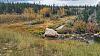 Click image for larger version. 

Name:	Beaver-Creek-wetland-10-3-23.jpg 
Views:	72 
Size:	225.1 KB 
ID:	94918