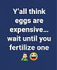 Click image for larger version. 

Name:	419593962_375709801730031_1714981512152839467_n.jpg 
Views:	274 
Size:	46.1 KB 
ID:	95675