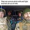 Click image for larger version. 

Name:	acat.jpg 
Views:	246 
Size:	50.7 KB 
ID:	95947