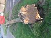 Click image for larger version. 

Name:	IMG_0296.jpg 
Views:	121 
Size:	269.7 KB 
ID:	96310