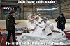 Click image for larger version. 

Name:	winnipeg_jets_meme.jpg 
Views:	475 
Size:	242.2 KB 
ID:	96546