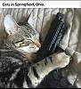 Click image for larger version. 

Name:	signal-2024-09-16-17-45-14-560.jpg 
Views:	187 
Size:	35.0 KB 
ID:	97366