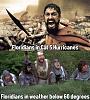 Click image for larger version. 

Name:	20241121_224653.jpg 
Views:	448 
Size:	85.6 KB 
ID:	97752
