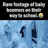 Click image for larger version. 

Name:	IMG_1446.jpeg 
Views:	707 
Size:	61.7 KB 
ID:	98406
