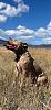 Click image for larger version. 

Name:	IMG_4551.jpeg 
Views:	41 
Size:	97.8 KB 
ID:	98469