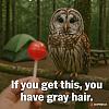 Click image for larger version. 

Name:	20250710_204806.jpg 
Views:	195 
Size:	119.2 KB 
ID:	99052
