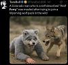 Click image for larger version. 

Name:	Screenshot 2025-08-16 at 6.30.16 PM.jpg 
Views:	246 
Size:	104.1 KB 
ID:	99231