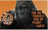Click image for larger version. 

Name:	gorilla.jpg 
Views:	19 
Size:	35.2 KB 
ID:	99404