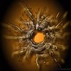 BadShot's Avatar