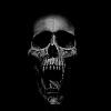 rockmm's Avatar