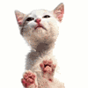 jerrymrc's Avatar