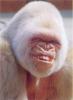 asystejs's Avatar