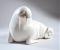 whitewalrus's Avatar