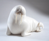 whitewalrus's Avatar